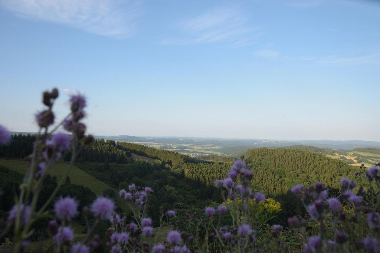 Ferienhaus Giebelei Medebach Bagian luar foto